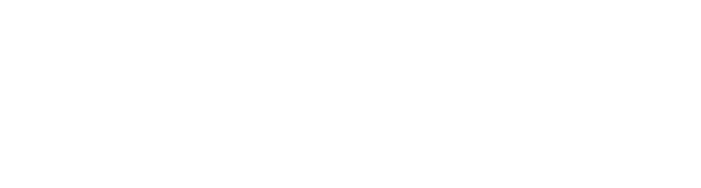 Word Dodgeball Federation